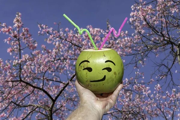 Πράσινη Καρύδα Ζωγραφισμένο Emoji Τροπικό Νερό Καρύδας Επιλεκτική Εστίαση Καλλιτεχνική — Φωτογραφία Αρχείου