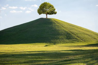 Dağlı geniş bir manzara ve tepesinde bir ağaç. alçak ve tekdüze çimenler, temiz ve parlak bir manzara.