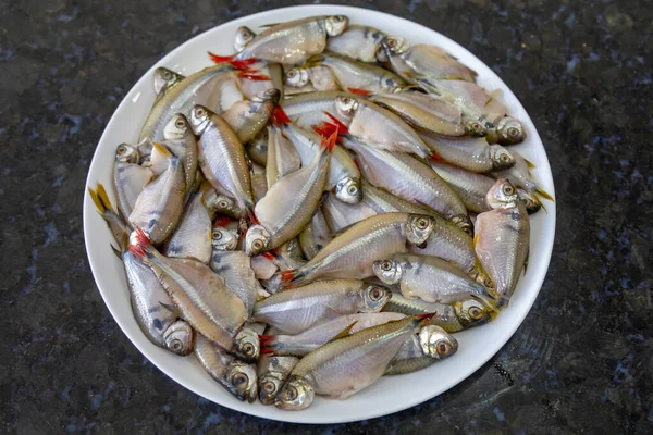 Fried Lambari Rabo Vermelho Astyanax Bimaculatus Typical Brazilian Freshwater Fish — Stock Photo, Image