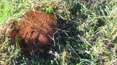 Doğal taze, saf ve temiz su kaynağı..