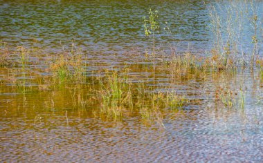 Doğal tropikal manzaralı arka plan manzarası