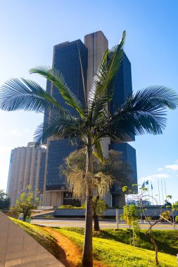 Brezilya 'nın başkenti Brasilia' daki merkez bankası binası