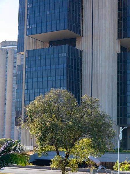 stock image Central bank building in the city of Brasilia, capital of Brazil