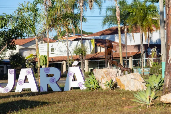 stock image Bairro do Guar with sculptures of the maned wolf (Chrysocyon brachyurus).