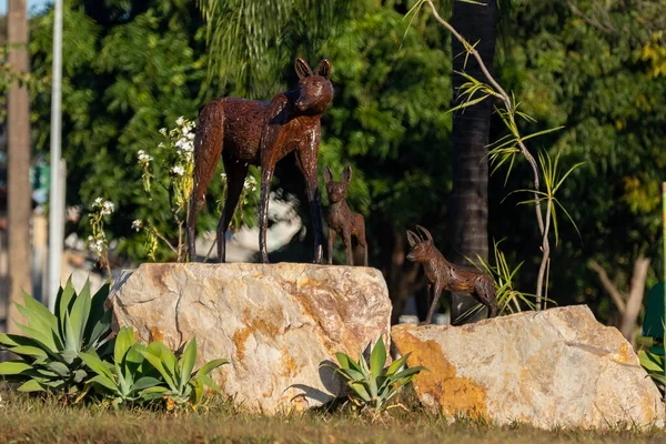 オオカミの彫刻が施されたベアロ Chrysocyon Brachurus — ストック写真