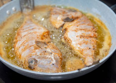 Temiz ve baharatlı Pero balığı (Balistes capriscus). 