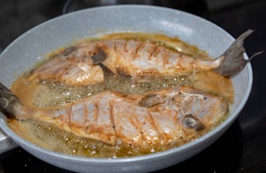 Temiz ve baharatlı Pero balığı (Balistes capriscus). 