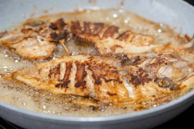 Temiz ve baharatlı Pero balığı (Balistes capriscus). 