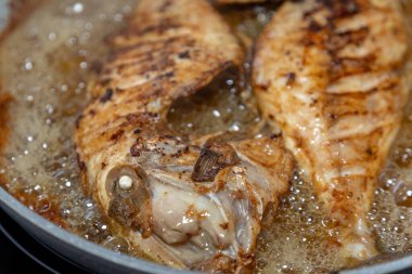 Temiz ve baharatlı Pero balığı (Balistes capriscus). 