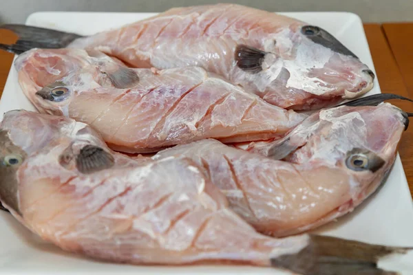 Чистая Приправленная Рыба Перо Balistes Capriscus Типичная Рыба Побережья Эсприто — стоковое фото