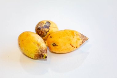 Bulunmayan botanik türlerinin nadir bulunan tropikal palmiye meyveleri. egzotik meyve