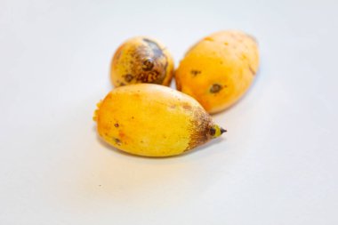 Bulunmayan botanik türlerinin nadir bulunan tropikal palmiye meyveleri. egzotik meyve