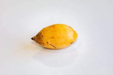 Bulunmayan botanik türlerinin nadir bulunan tropikal palmiye meyveleri. egzotik meyve