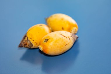 Bulunmayan botanik türlerinin nadir bulunan tropikal palmiye meyveleri. egzotik meyve