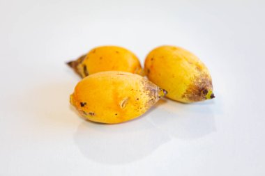 Bulunmayan botanik türlerinin nadir bulunan tropikal palmiye meyveleri. egzotik meyve