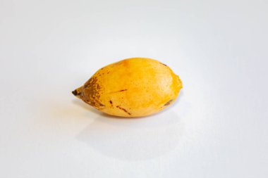 Bulunmayan botanik türlerinin nadir bulunan tropikal palmiye meyveleri. egzotik meyve