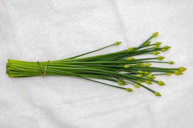 Sarımsak Chives 'in çiçek tomurcuğu (Allium tuberosum) Asya Chives, Oriental Sarımsak, Çin soğanı veya Çin Pırasası olarak da bilinir. Nir.