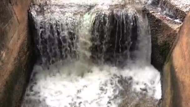 Fließendes Wasser Inmitten Der Natur Mit Ursprünglicher Umgebung — Stockvideo