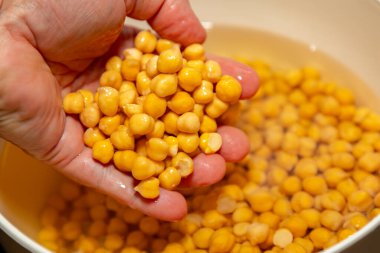 Beyaz arka planda izole edilmiş nohut ya da Mısır bezelyesi. (Cicer arietinum)