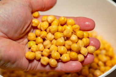 Beyaz arka planda izole edilmiş nohut ya da Mısır bezelyesi. (Cicer arietinum)