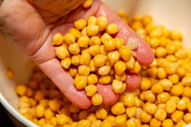 Beyaz arka planda izole edilmiş nohut ya da Mısır bezelyesi. (Cicer arietinum)