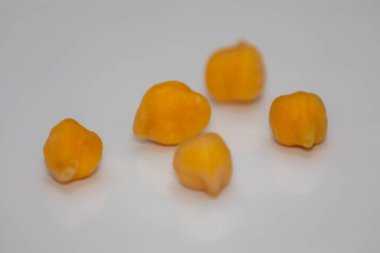 Beyaz arka planda izole edilmiş nohut ya da Mısır bezelyesi. (Cicer arietinum)