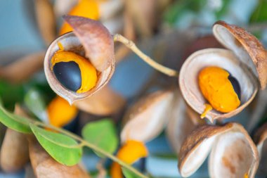 Çok nadir ve egzotik tropikal meyveler. Botanik tanımlama bulunamadı.