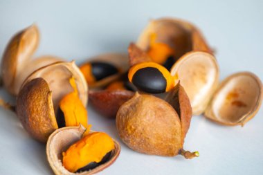 Çok nadir ve egzotik tropikal meyveler. Botanik tanımlama bulunamadı.