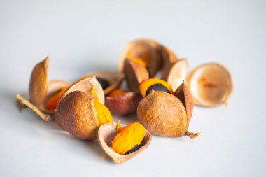 Çok nadir ve egzotik tropikal meyveler. Botanik tanımlama bulunamadı.