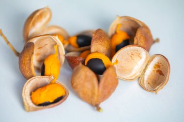 Çok nadir ve egzotik tropikal meyveler. Botanik tanımlama bulunamadı.