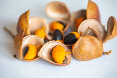 Çok nadir ve egzotik tropikal meyveler. Botanik tanımlama bulunamadı.