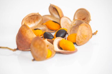 Çok nadir ve egzotik tropikal meyveler. Botanik tanımlama bulunamadı.