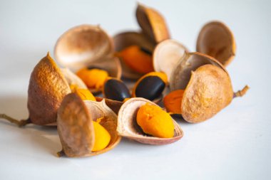 Çok nadir ve egzotik tropikal meyveler. Botanik tanımlama bulunamadı.