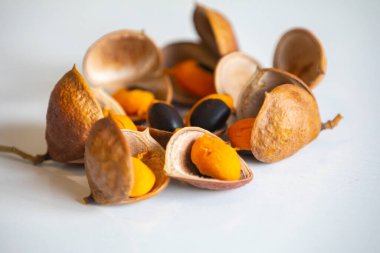 Çok nadir ve egzotik tropikal meyveler. Botanik tanımlama bulunamadı.