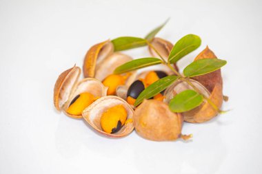 Çok nadir ve egzotik tropikal meyveler. Botanik tanımlama bulunamadı.