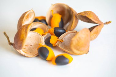 Çok nadir ve egzotik tropikal meyveler. Botanik tanımlama bulunamadı.