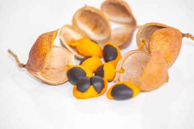 Çok nadir ve egzotik tropikal meyveler. Botanik tanımlama bulunamadı.