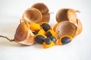 Çok nadir ve egzotik tropikal meyveler. Botanik tanımlama bulunamadı.