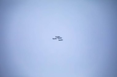 3 Super Tucano A-29 Turboprop uçağından oluşan geleneksel Brezilya Duman Filosu