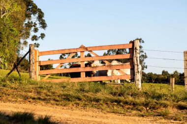 Kırsal alanda ahşap bir kapı.