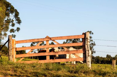 Kırsal alanda ahşap bir kapı.