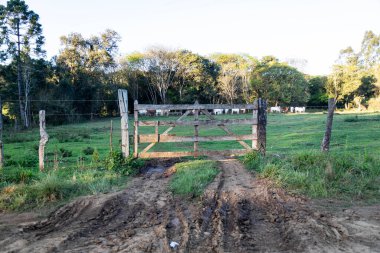 Kırsal alanda ahşap bir kapı.