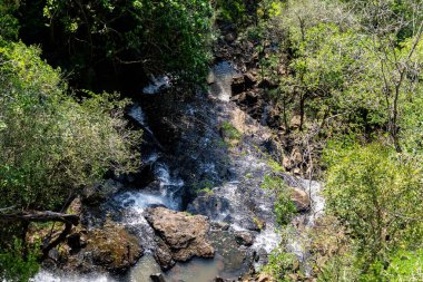 Natural wild landscape of the Atlantic Forest and Brazilian rainforest clipart