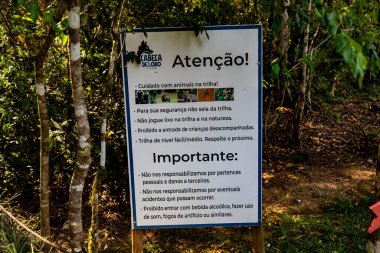 Atlantik Ormanı ve Brezilya yağmur ormanlarının doğal vahşi doğası