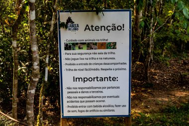 Atlantik Ormanı ve Brezilya yağmur ormanlarının doğal vahşi doğası