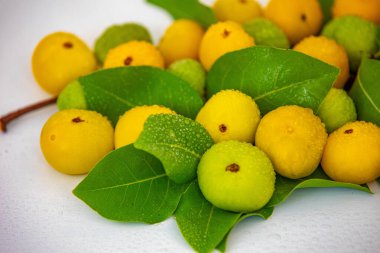 Manolyopsida sınıfından ve Myrtaceae ailesinden cagaita (Stenocalyx dysentericus) olarak bilinen Brezilya cerrado biyologundan olgun, yenilebilir yabani meyve..