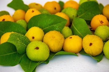 Manolyopsida sınıfından ve Myrtaceae ailesinden cagaita (Stenocalyx dysentericus) olarak bilinen Brezilya cerrado biyologundan olgun, yenilebilir yabani meyve..