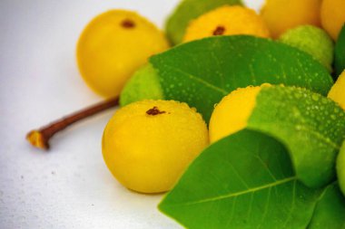 Manolyopsida sınıfından ve Myrtaceae ailesinden cagaita (Stenocalyx dysentericus) olarak bilinen Brezilya cerrado biyologundan olgun, yenilebilir yabani meyve..