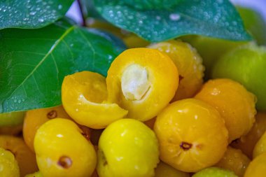 Manolyopsida sınıfından ve Myrtaceae ailesinden cagaita (Stenocalyx dysentericus) olarak bilinen Brezilya cerrado biyologundan olgun, yenilebilir yabani meyve..