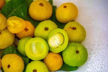 Manolyopsida sınıfından ve Myrtaceae ailesinden cagaita (Stenocalyx dysentericus) olarak bilinen Brezilya cerrado biyologundan olgun, yenilebilir yabani meyve..